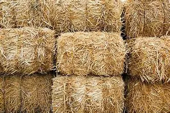 Straw bales for protecting newly seeded lawns and erosion control at JTR Garden Center in Youngstown Ohio